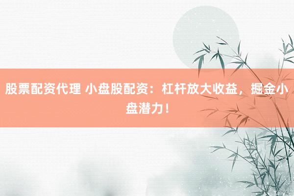 股票配资代理 小盘股配资：杠杆放大收益，掘金小盘潜力！
