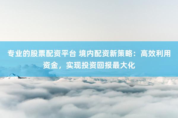 专业的股票配资平台 境内配资新策略：高效利用资金，实现投资回报最大化