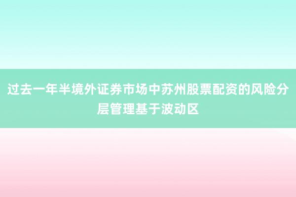 过去一年半境外证券市场中苏州股票配资的风险分层管理基于波动区