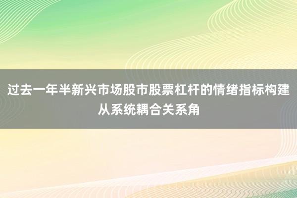过去一年半新兴市场股市股票杠杆的情绪指标构建从系统耦合关系角