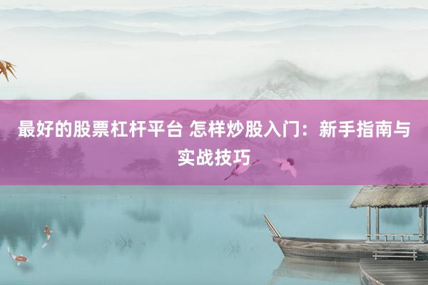 最好的股票杠杆平台 怎样炒股入门：新手指南与实战技巧