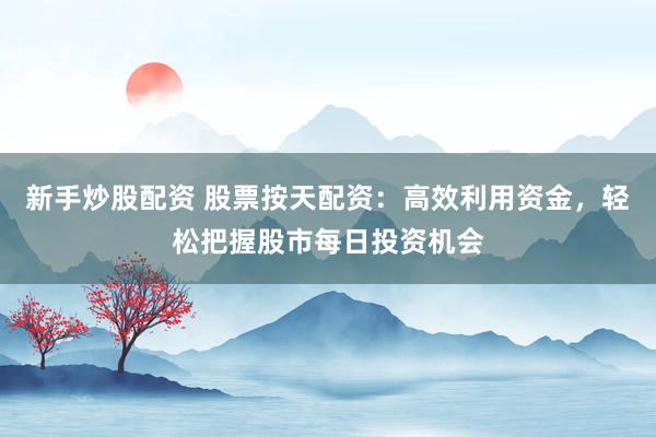 新手炒股配资 股票按天配资：高效利用资金，轻松把握股市每日投资机会
