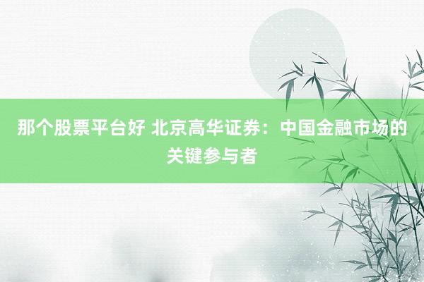 那个股票平台好 北京高华证券：中国金融市场的关键参与者
