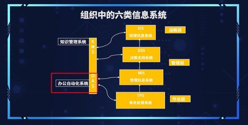 管理信息系统 二 2.8